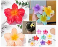 pince cheveux FLEUR REUNION