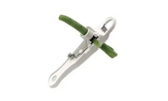 Coupe Haricot achards légumes