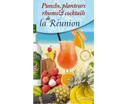 Recettes Punchs, rhums arrangés