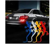 Margouillat Réfléchissant