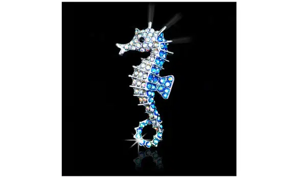BROCHE HIPPOCAMPE