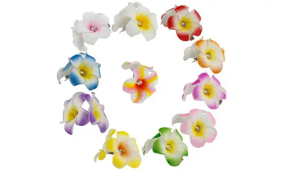 pince cheveux FLEUR REUNION