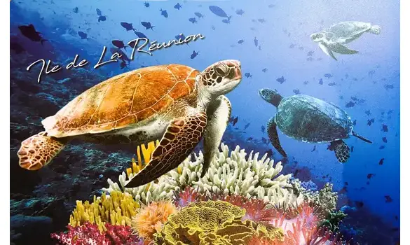 Set de table Réunion