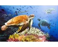 Set de table Réunion